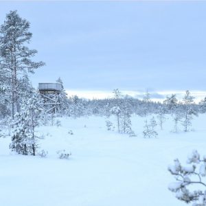 Talven hiljaiseloa Geoparkissa – suksilla suolle