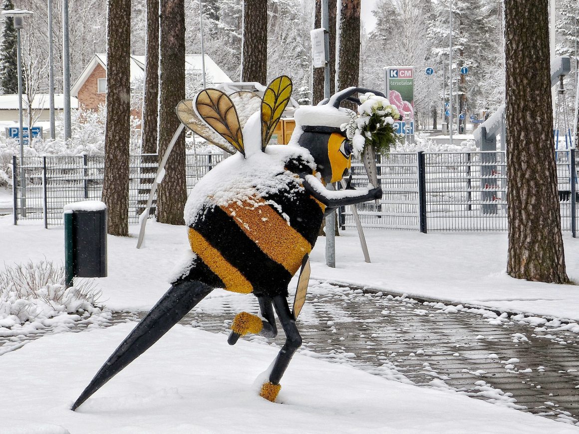 Talvipäivä Kankaanpäässä on täynnä touhua