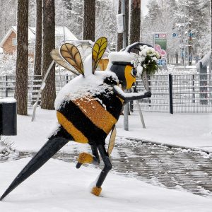 Talvipäivä Kankaanpäässä on täynnä touhua