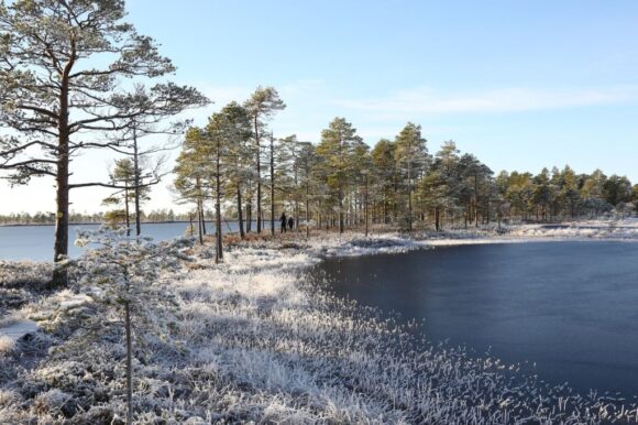 Rauhallista joulun aikaa Geoparkissa