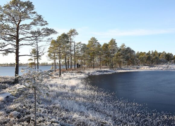 Rauhallista joulun aikaa Geoparkissa
