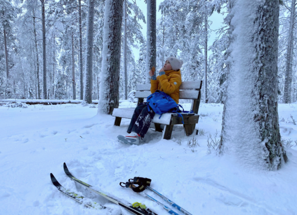 Talven riemua Kankaanpäässä