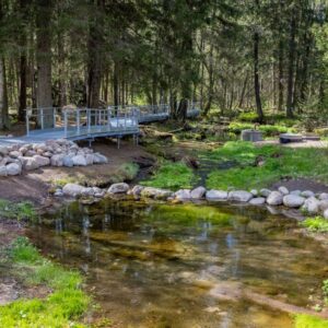 Kuninkaanlähde Hämeenkankaalla